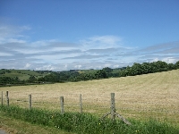Gallery Picture: Middle of drive Meadow in august